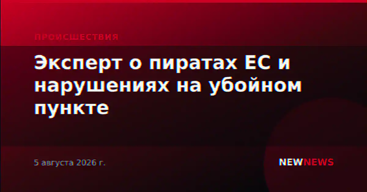 Эксперт о пиратах ЕС и нарушениях на убойном пункте