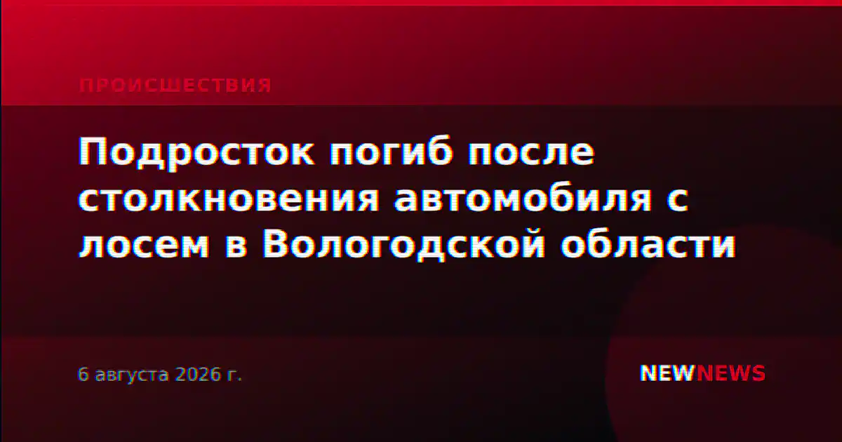 Подросток погиб после столкновения автомобиля с лосем в Вологодской области