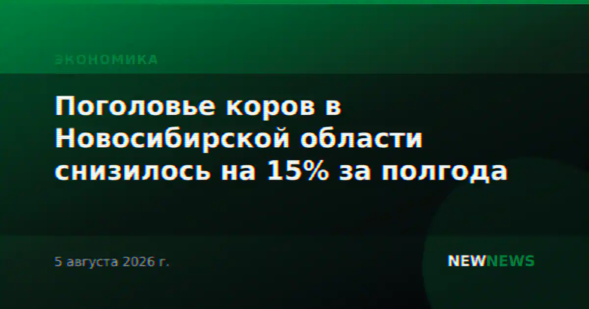 Поголовье коров в Новосибирской области снизилось на 15% за полгода