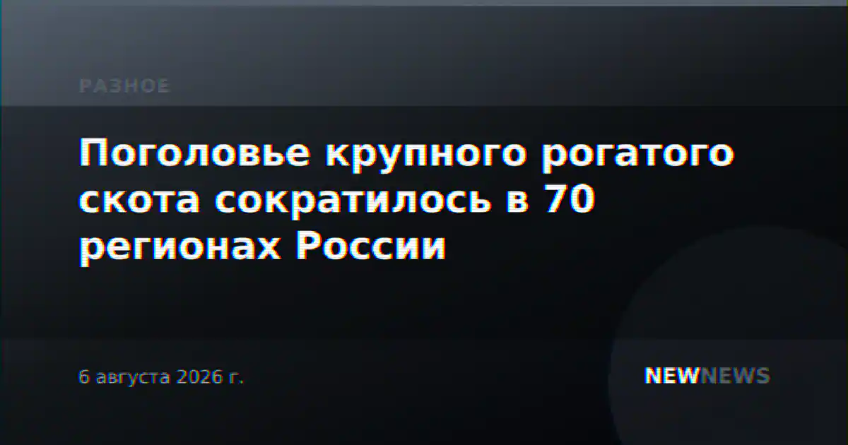 Поголовье крупного рогатого скота сократилось в 70 регионах России