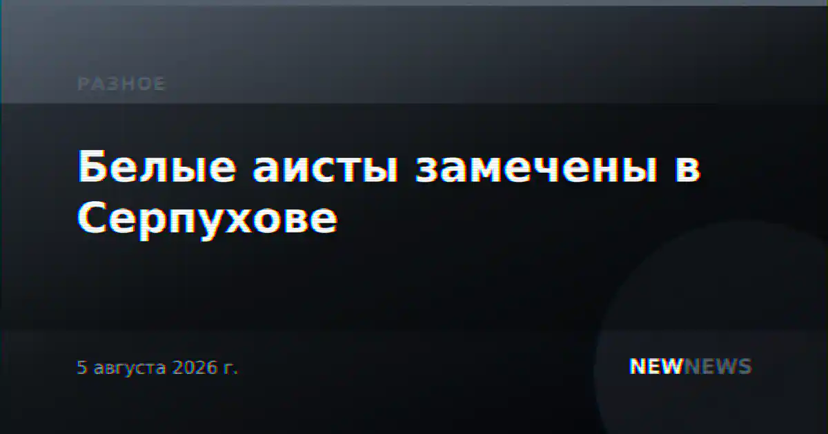 Белые аисты замечены в Серпухове