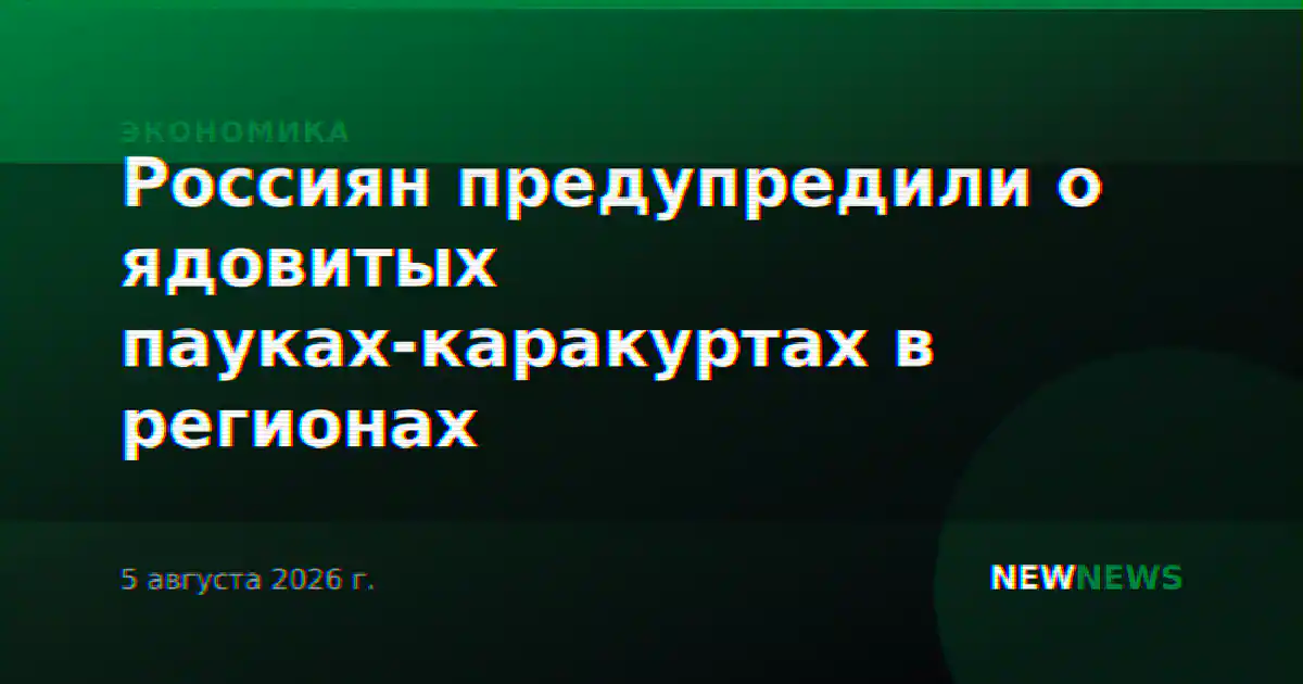 Россиян предупредили о ядовитых пауках-каракуртах в регионах