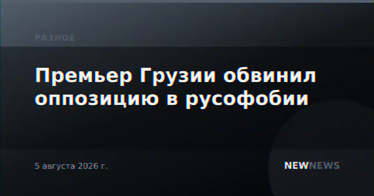 Премьер Грузии обвинил оппозицию в русофобии