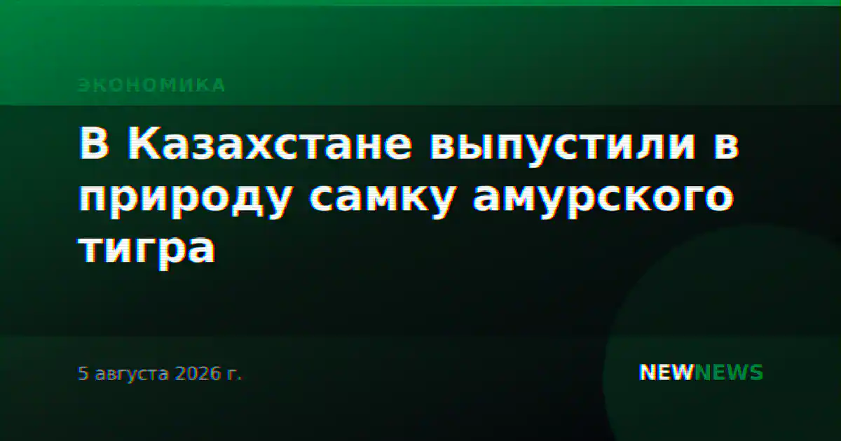 В Казахстане выпустили в природу самку амурского тигра