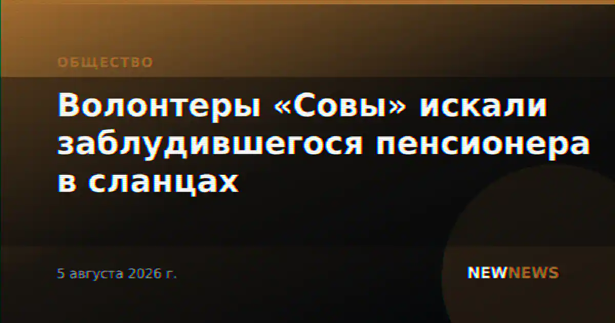Волонтеры «Совы» искали заблудившегося пенсионера в сланцах