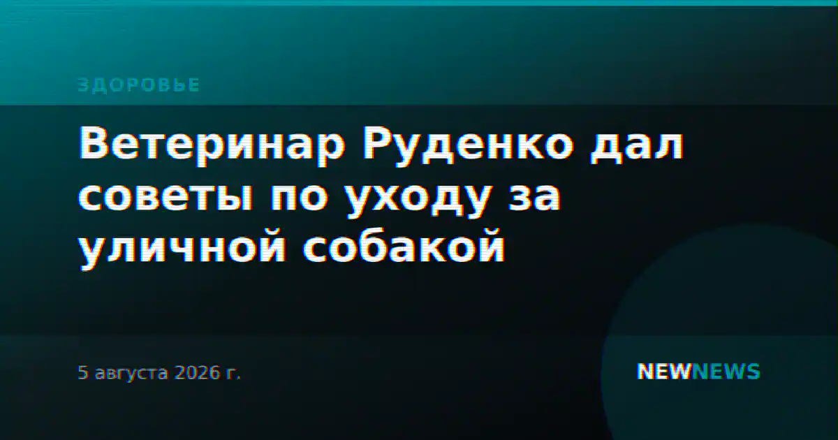 Ветеринар Руденко дал советы по уходу за уличной собакой