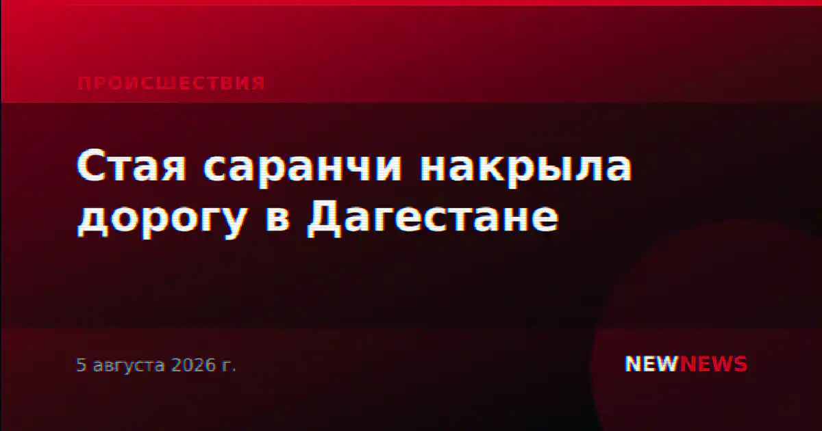 Стая саранчи накрыла дорогу в Дагестане