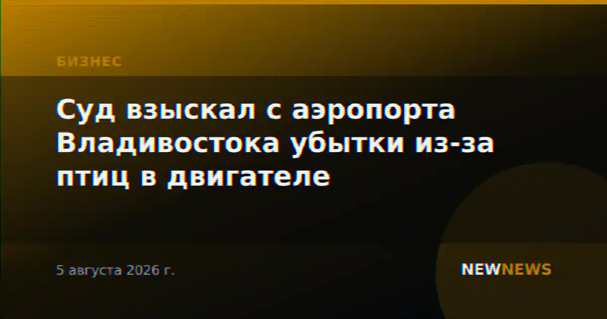 Суд взыскал с аэропорта Владивостока убытки из-за птиц в двигателе