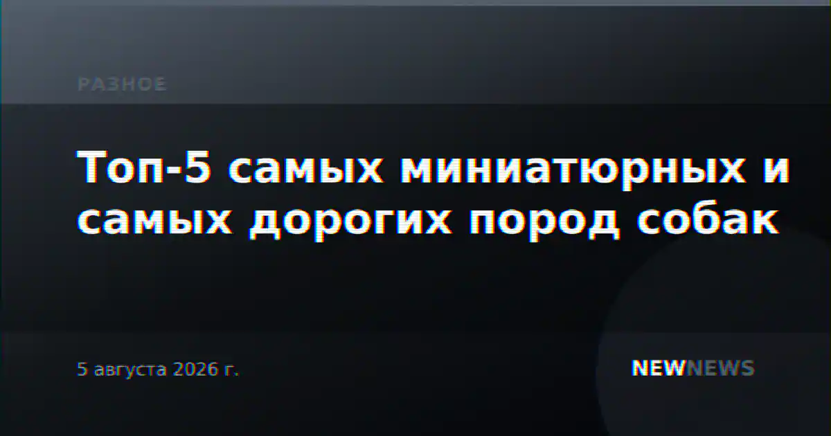 Топ-5 самых миниатюрных и самых дорогих пород собак
