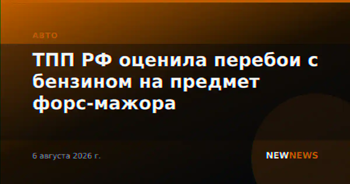 ТПП РФ оценила перебои с бензином на предмет форс-мажора