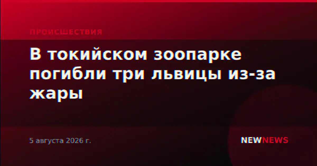 В токийском зоопарке погибли три львицы из-за жары