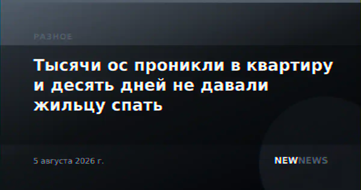 Тысячи ос проникли в квартиру и десять дней не давали жильцу спать