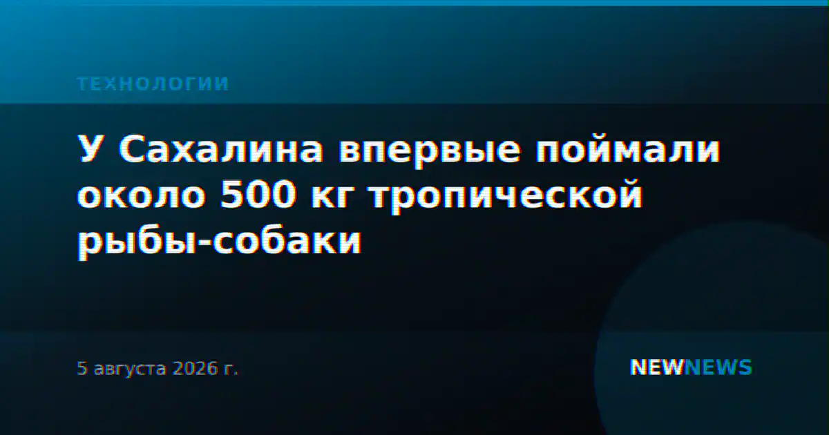 У Сахалина впервые поймали около 500 кг тропической рыбы-собаки