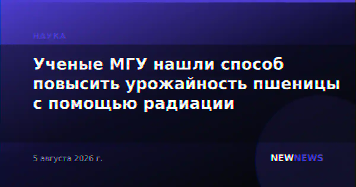 Ученые МГУ нашли способ повысить урожайность пшеницы с помощью радиации
