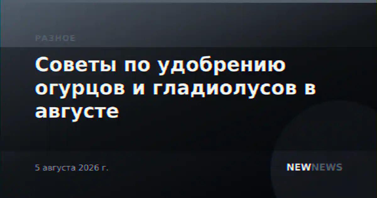 Советы по удобрению огурцов и гладиолусов в августе