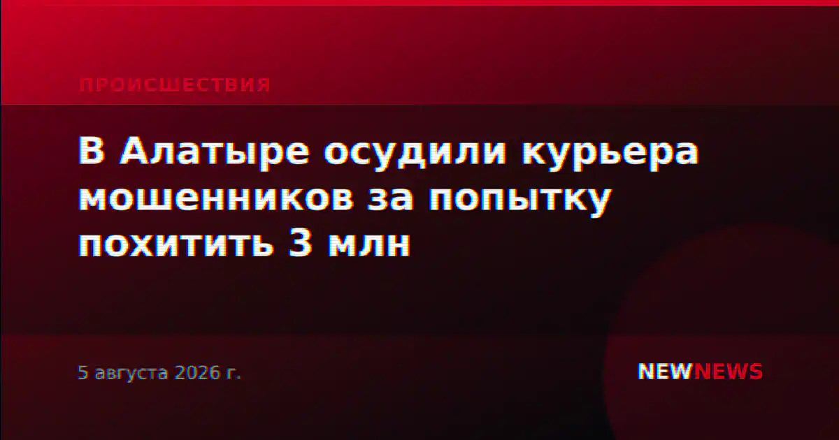 В Алатыре осудили курьера мошенников за попытку похитить 3 млн