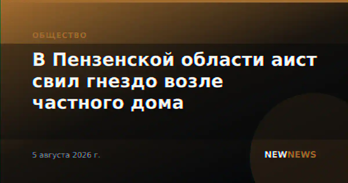 В Пензенской области аист свил гнездо возле частного дома