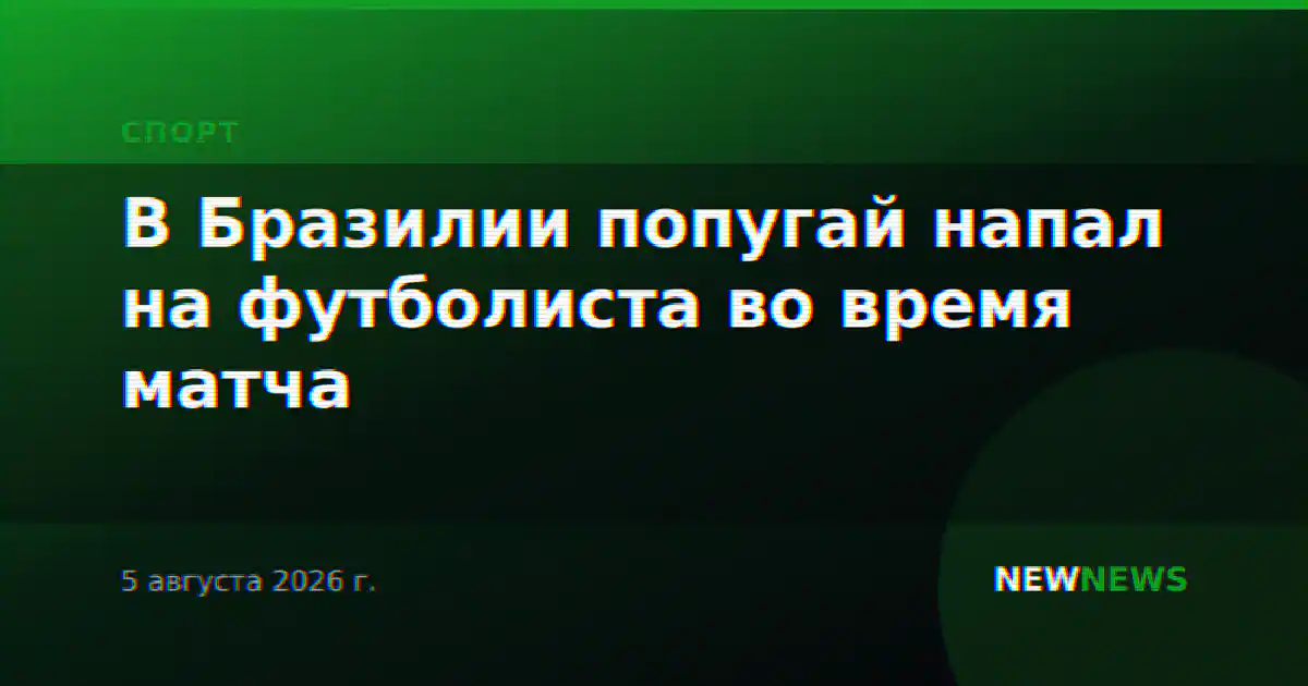 В Бразилии попугай напал на футболиста во время матча