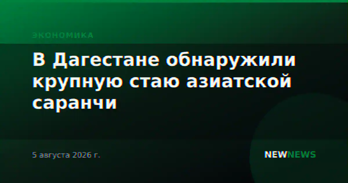 В Дагестане обнаружили крупную стаю азиатской саранчи