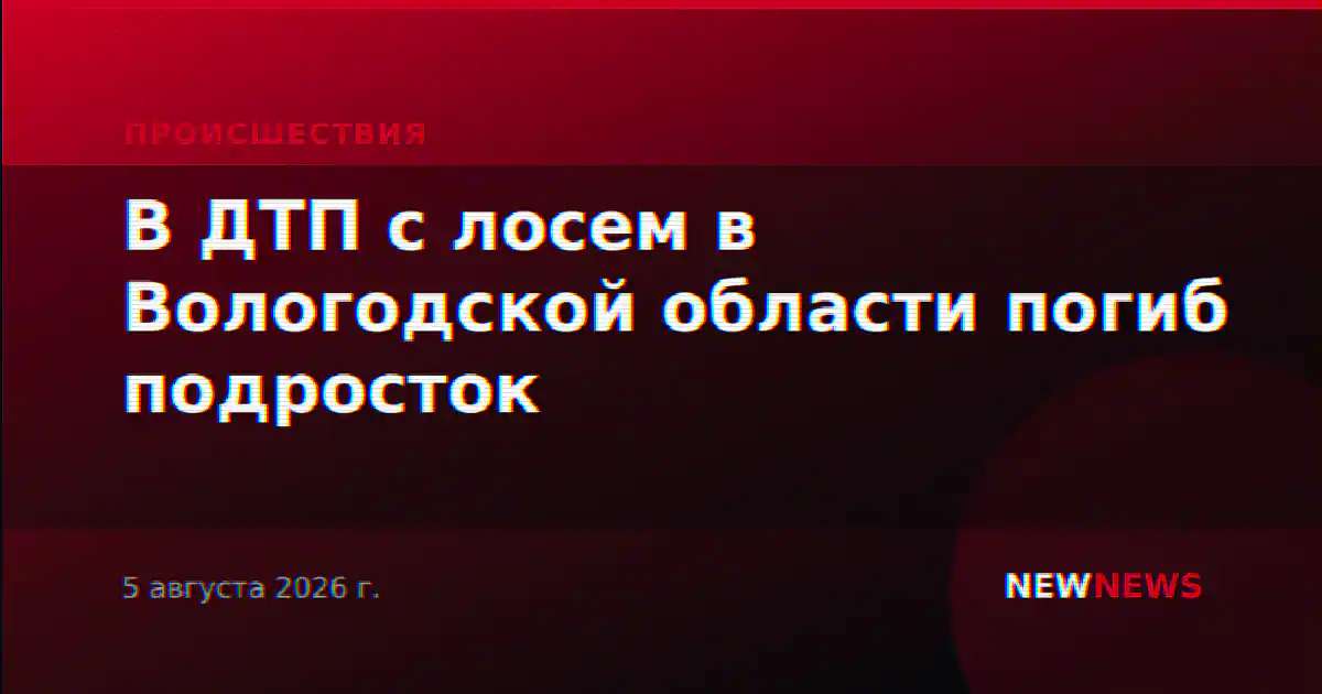 В ДТП с лосем в Вологодской области погиб подросток
