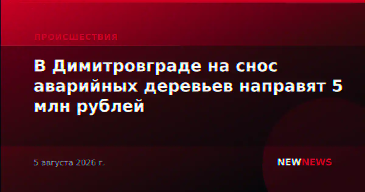 В Димитровграде на снос аварийных деревьев направят 5 млн рублей
