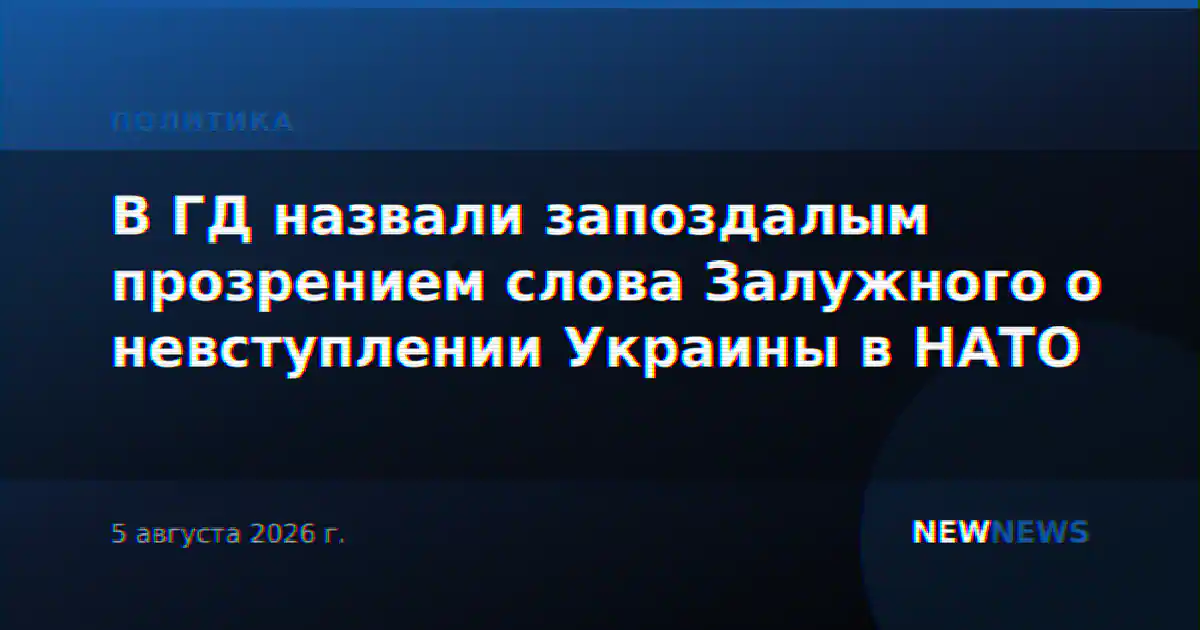 В ГД назвали запоздалым прозрением слова Залужного о невступлении Украины в НАТО