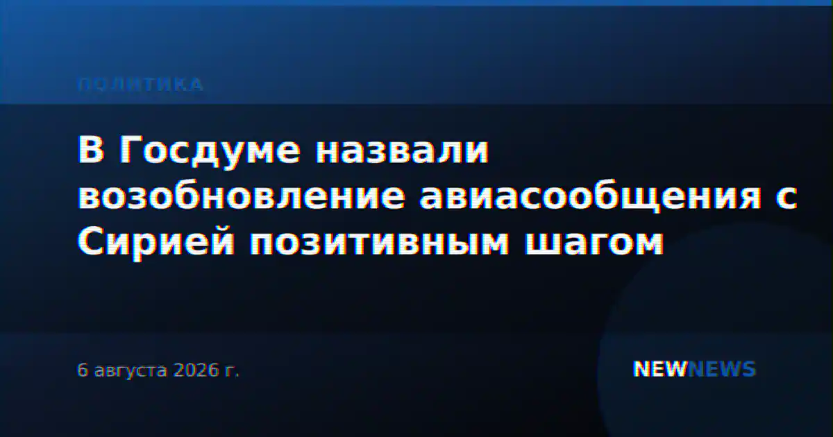 В Госдуме назвали возобновление авиасообщения с Сирией позитивным шагом