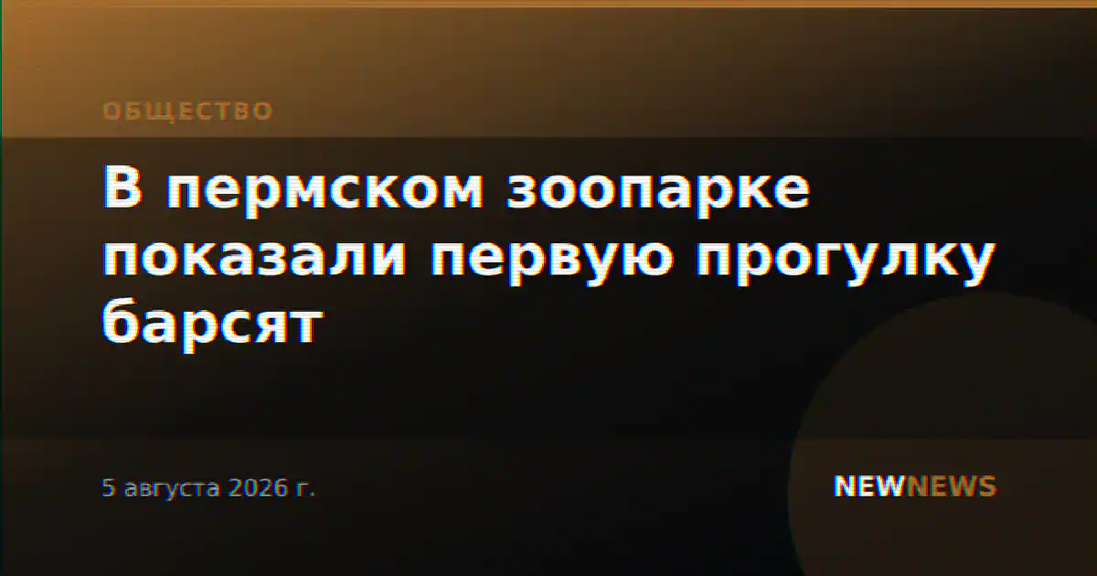 В пермском зоопарке показали первую прогулку барсят
