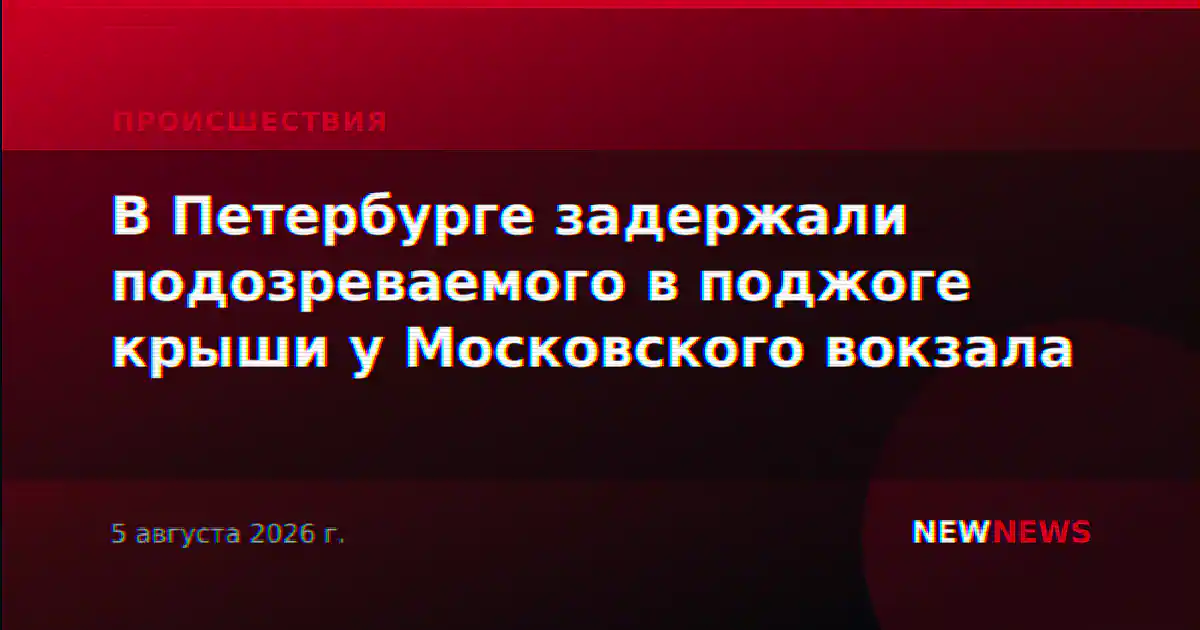 В Петербурге задержали подозреваемого в поджоге крыши у Московского вокзала