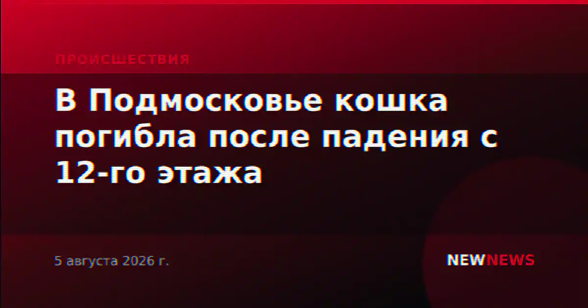 В Подмосковье кошка погибла после падения с 12-го этажа