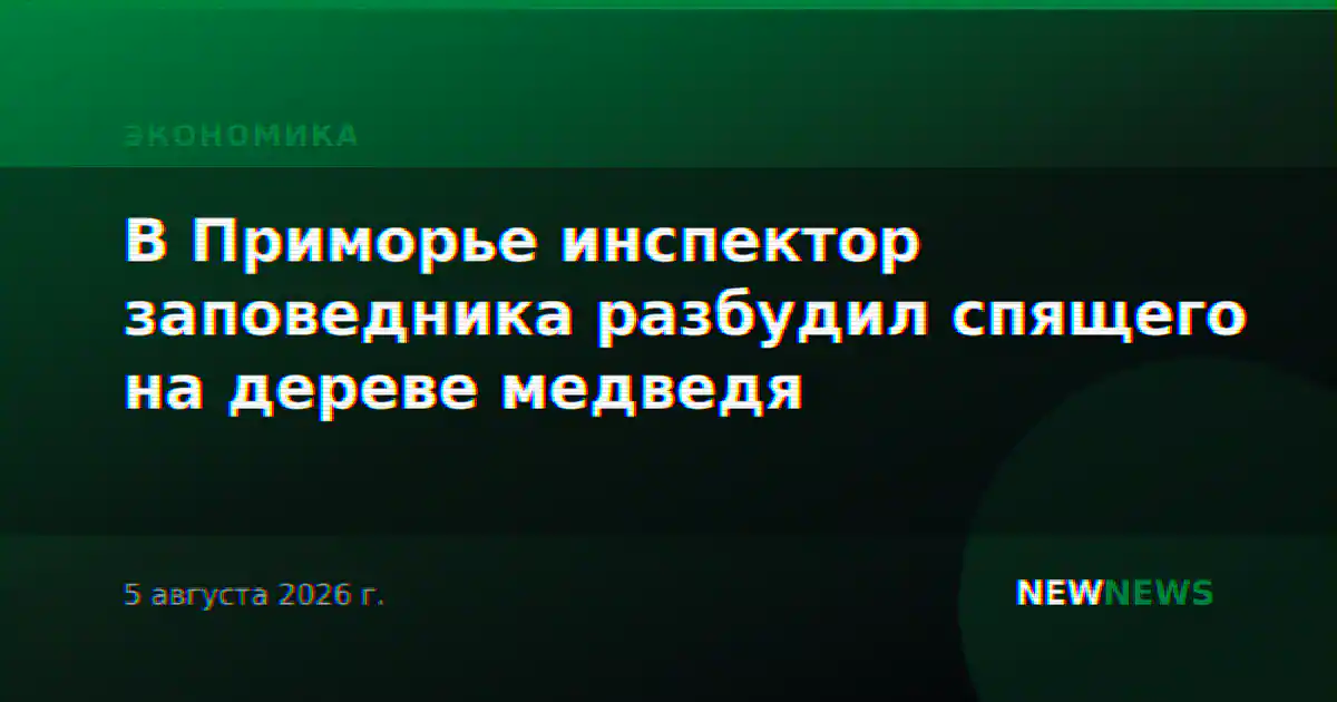 В Приморье инспектор заповедника разбудил спящего на дереве медведя
