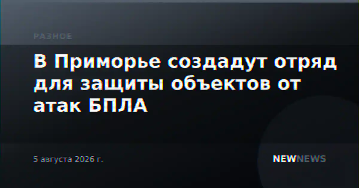 В Приморье создадут отряд для защиты объектов от атак БПЛА