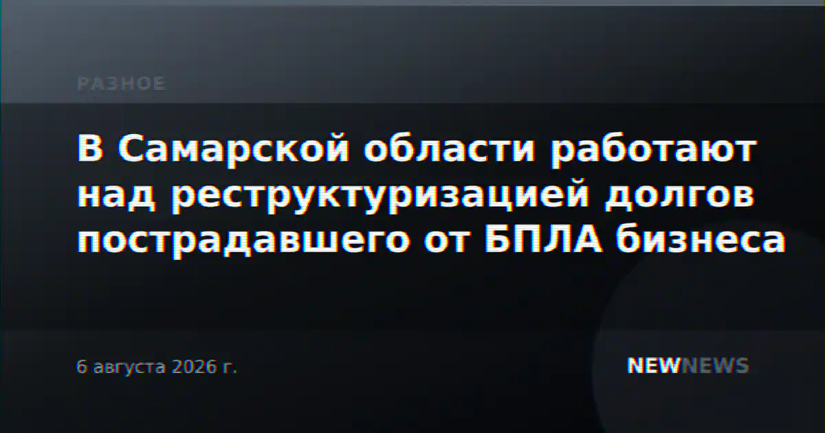 В Самарской области работают над реструктуризацией долгов пострадавшего от БПЛА бизнеса
