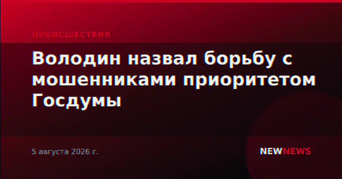Володин назвал борьбу с мошенниками приоритетом Госдумы