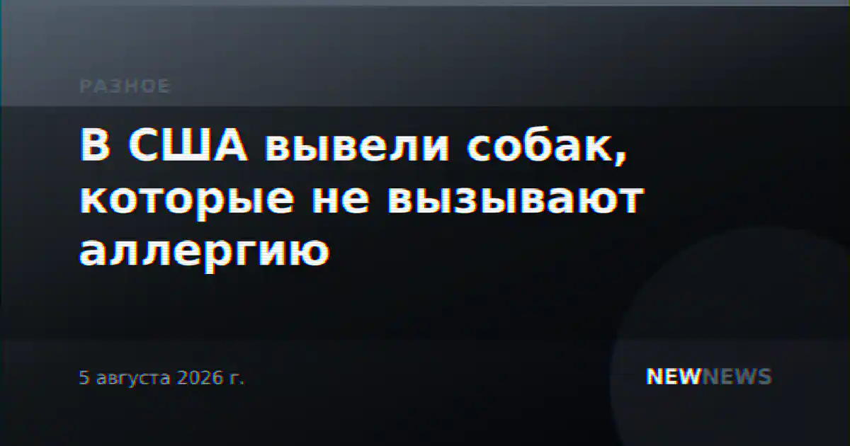 В США вывели собак, которые не вызывают аллергию