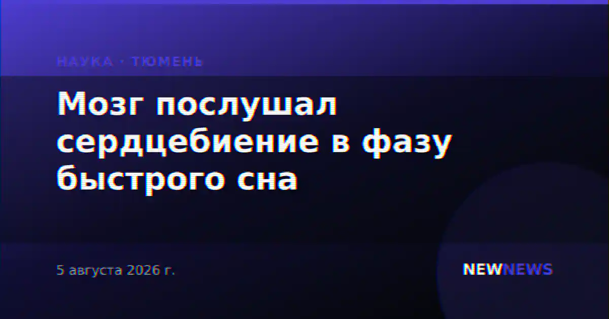 Мозг послушал сердцебиение в фазу быстрого сна