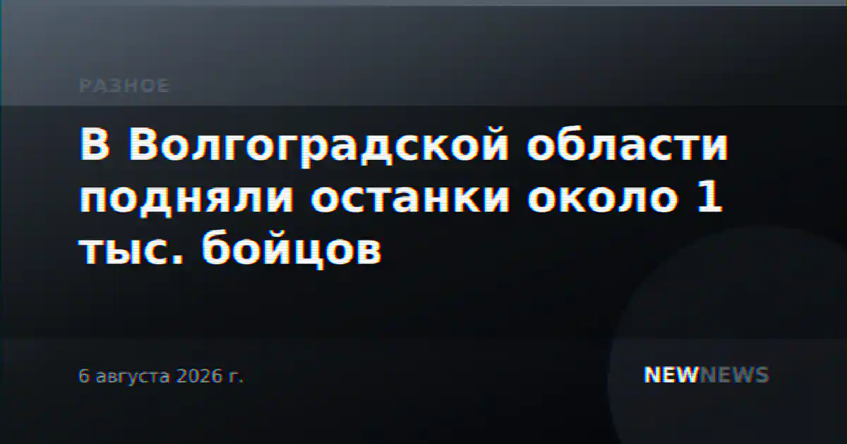 В Волгоградской области подняли останки около 1 тыс. бойцов