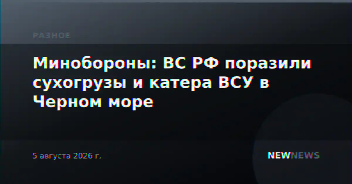 Минобороны: ВС РФ поразили сухогрузы и катера ВСУ в Черном море
