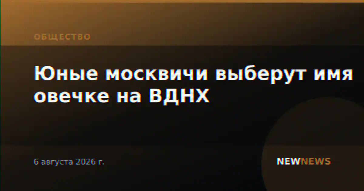 Юные москвичи выберут имя овечке на ВДНХ