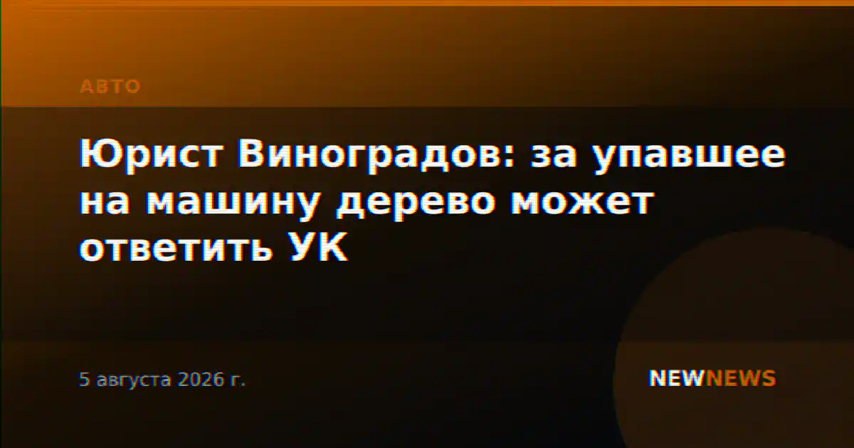 Юрист Виноградов: за упавшее на машину дерево может ответить УК