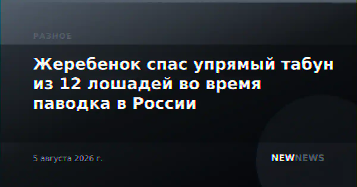 Жеребенок спас упрямый табун из 12 лошадей во время паводка в России
