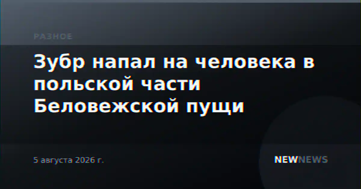 Зубр напал на человека в польской части Беловежской пущи