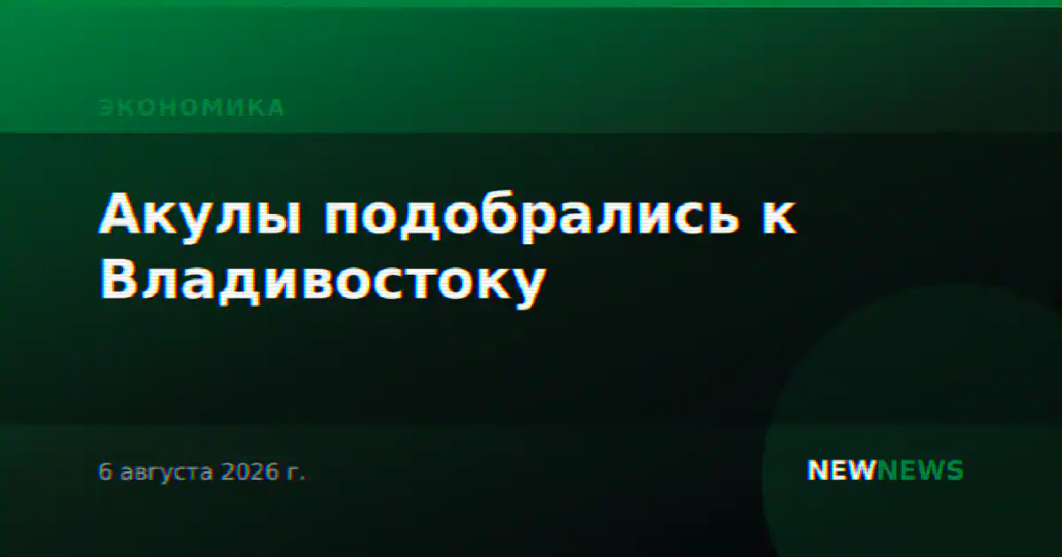 Акулы подобрались к Владивостоку