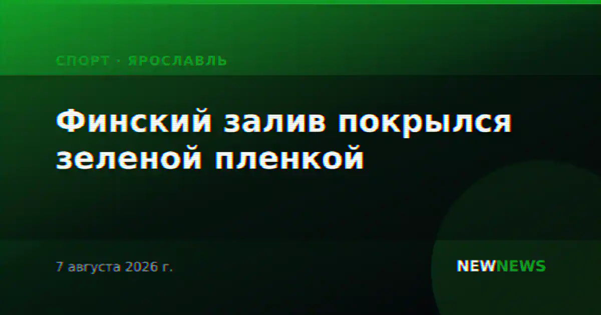 Финский залив покрылся зеленой пленкой