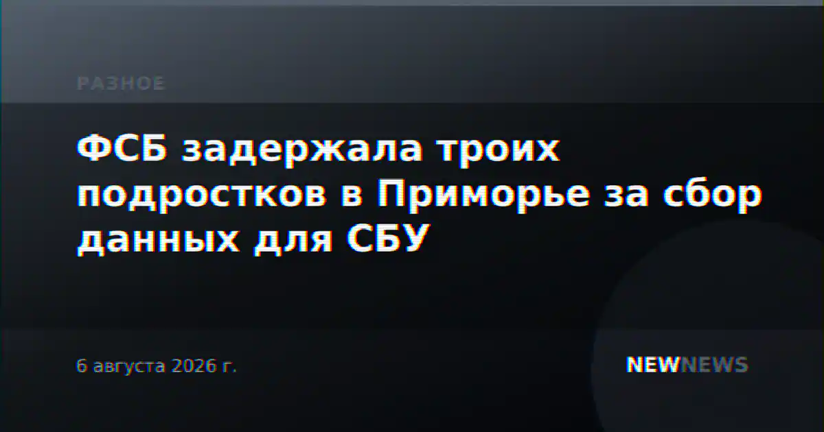 ФСБ задержала троих подростков в Приморье за сбор данных для СБУ