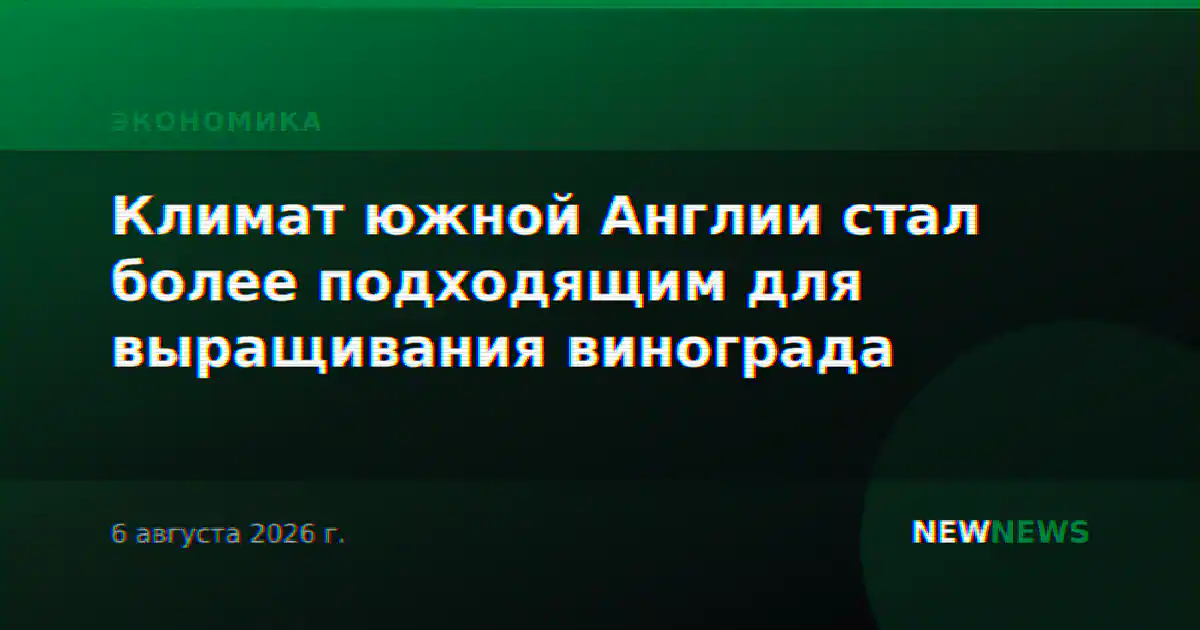 Климат южной Англии стал более подходящим для выращивания винограда