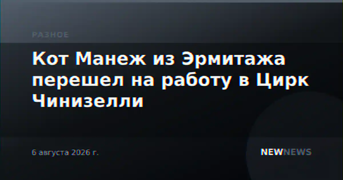 Кот Манеж из Эрмитажа перешел на работу в Цирк Чинизелли