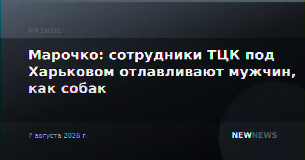 Марочко: сотрудники ТЦК под Харьковом отлавливают мужчин, как собак