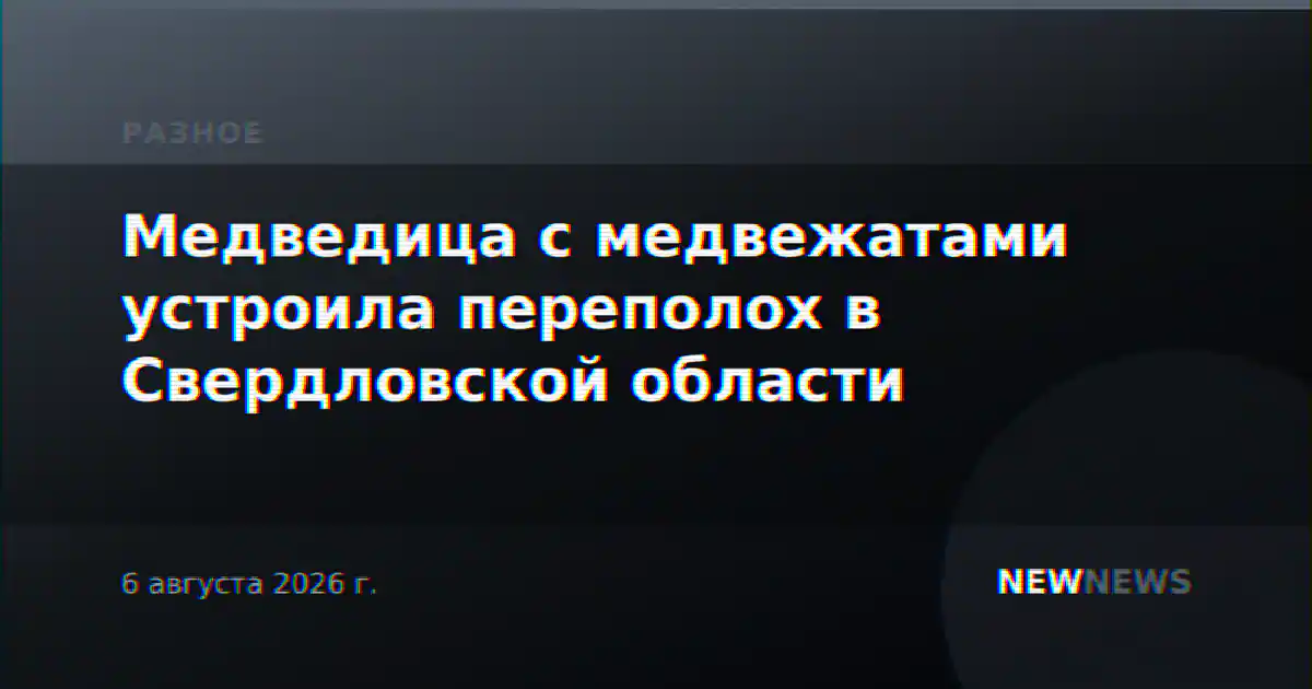 Медведица с медвежатами устроила переполох в Свердловской области