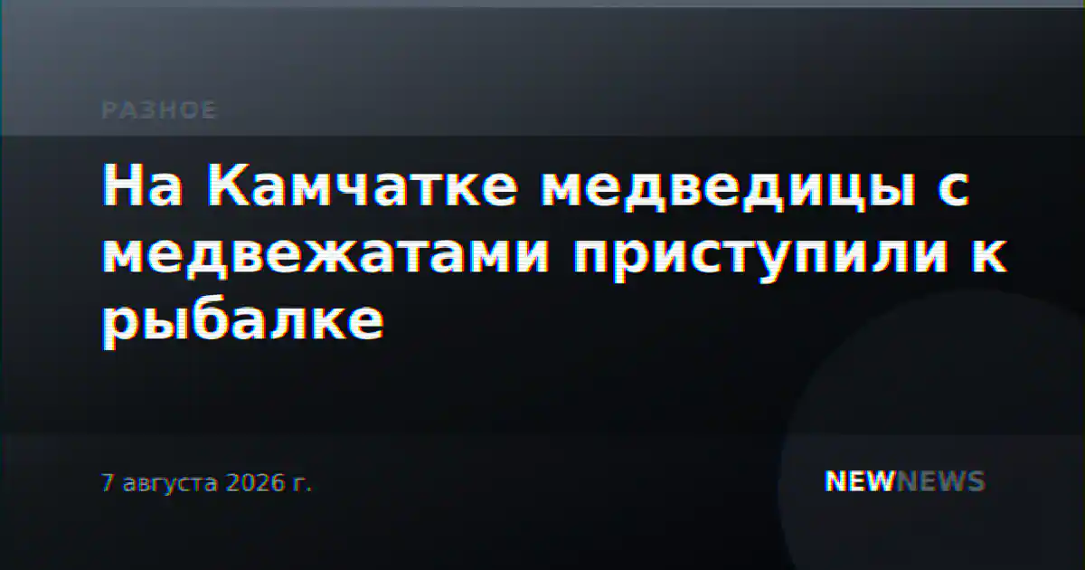 На Камчатке медведицы с медвежатами приступили к рыбалке
